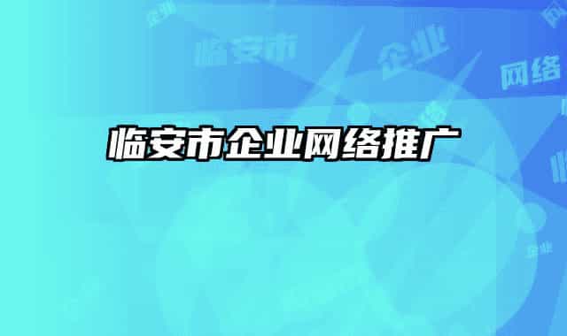 临安市企业网络推广