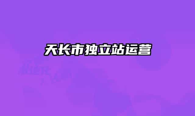 天长市独立站运营