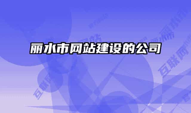 丽水市网站建设的公司