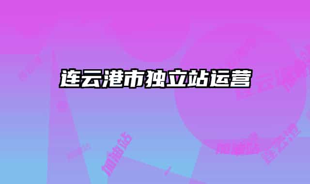 连云港市独立站运营
