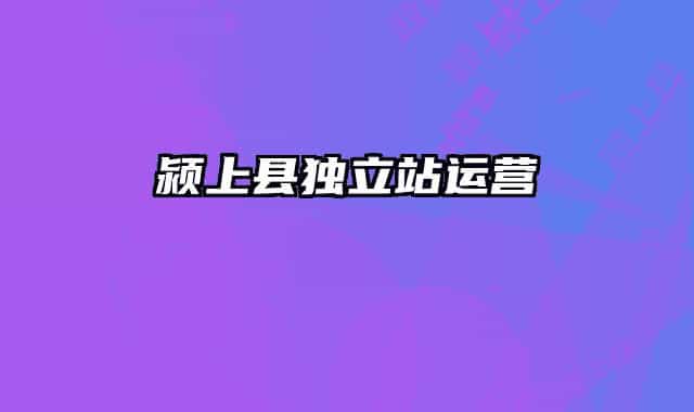 颍上县独立站运营
