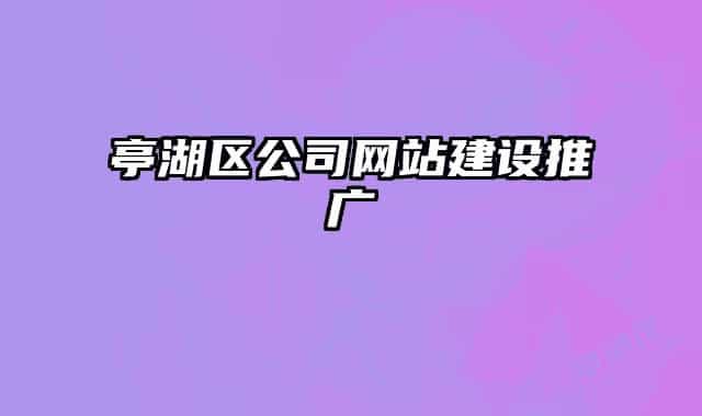 亭湖区公司网站建设推广