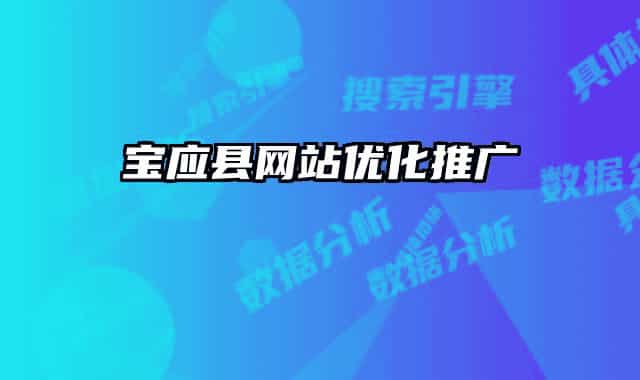 宝应县网站优化推广