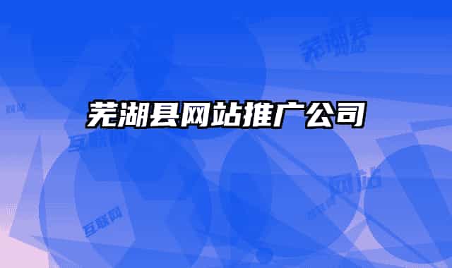 芜湖县网站推广公司