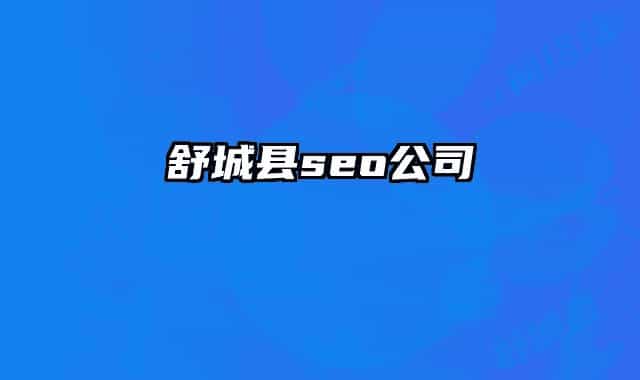 舒城县seo公司