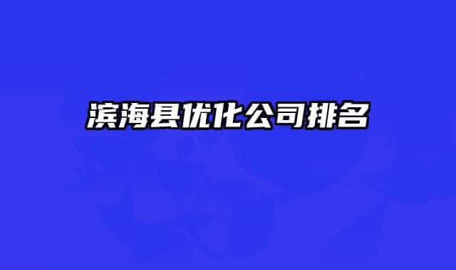 滨海县优化公司排名
