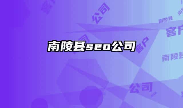 南陵县seo公司