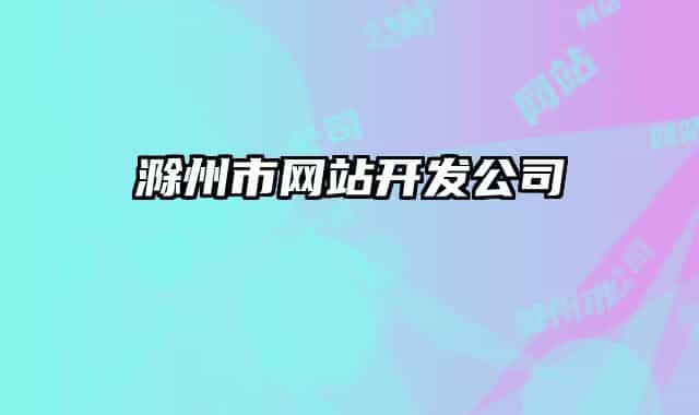 滁州市网站开发公司