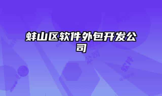 蚌山区软件外包开发公司
