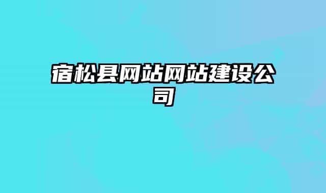 宿松县网站网站建设公司