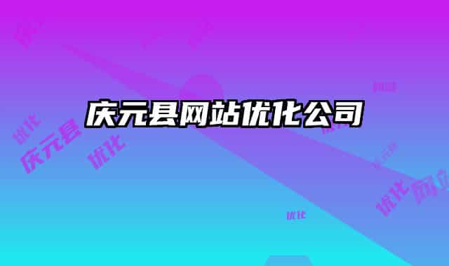 庆元县网站优化公司
