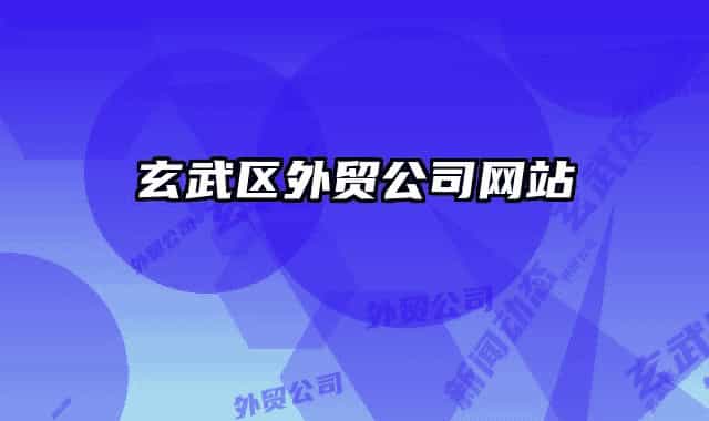 玄武区外贸公司网站