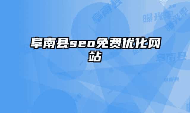 阜南县seo免费优化网站