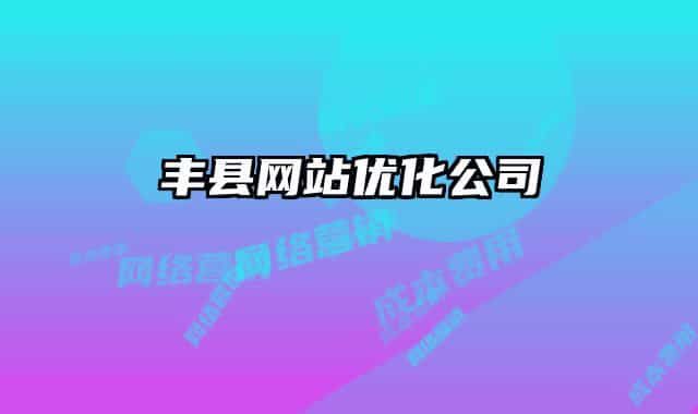 丰县网站优化公司