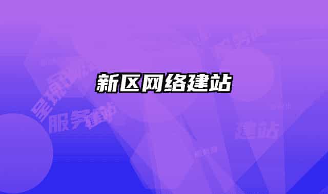 新区网络建站