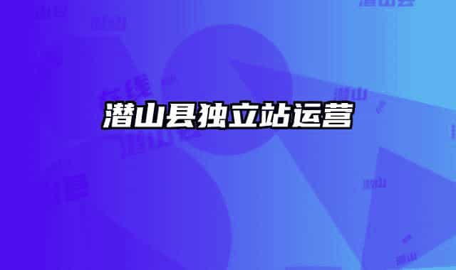 潜山县独立站运营