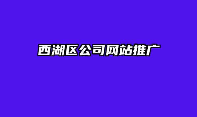 西湖区公司网站推广