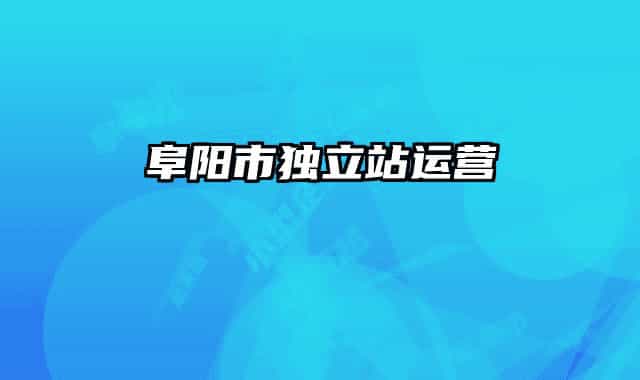 阜阳市独立站运营