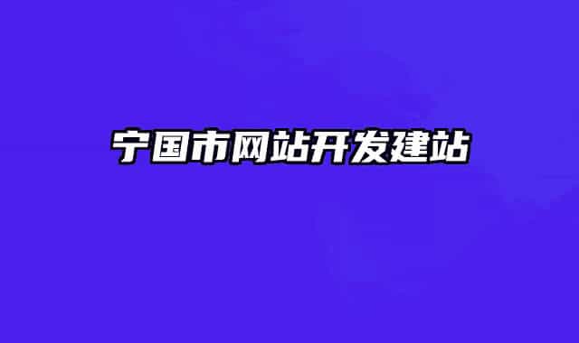 宁国市网站开发建站