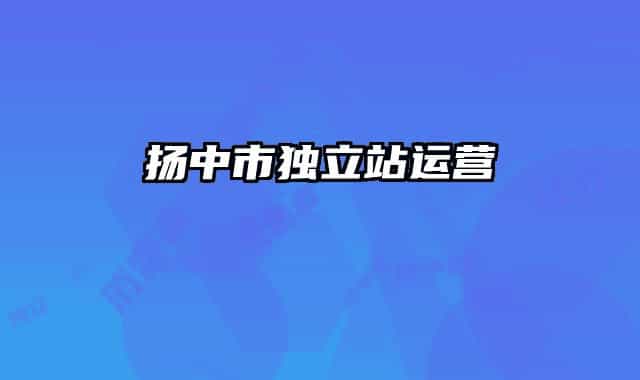 扬中市独立站运营