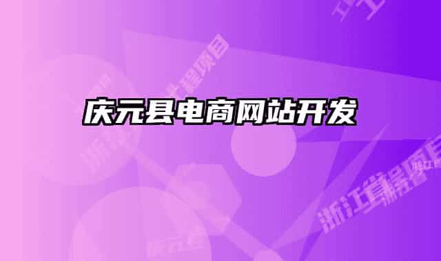 庆元县电商网站开发