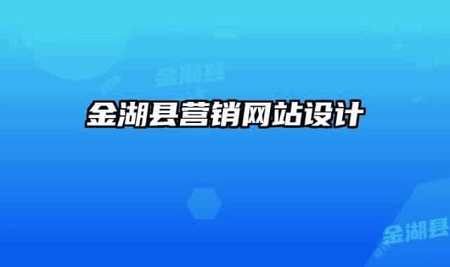 金湖县营销网站设计