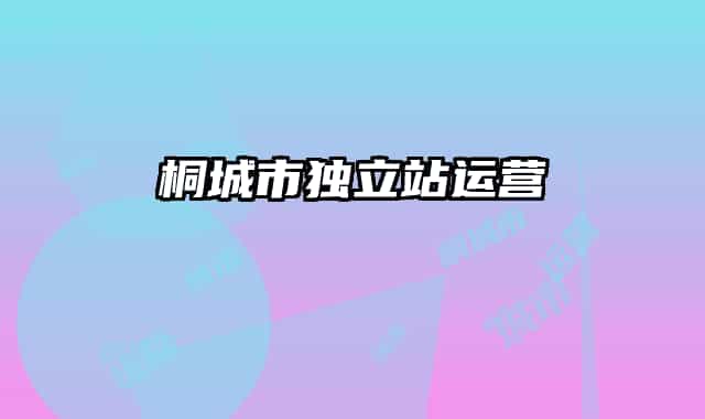 桐城市独立站运营