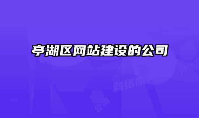 亭湖区网站建设的公司