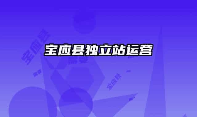 宝应县独立站运营