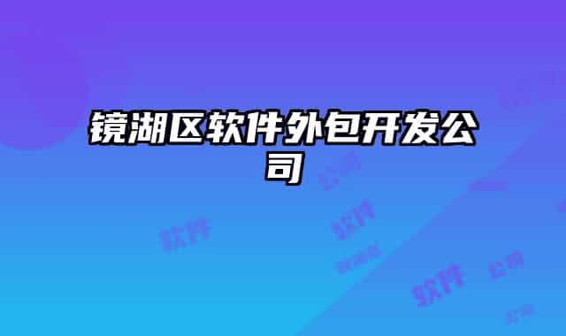 镜湖区软件外包开发公司