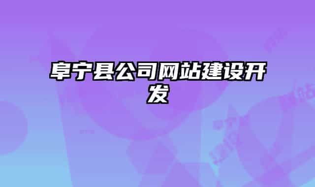 阜宁县公司网站建设开发