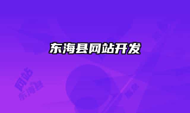 东海县网站开发