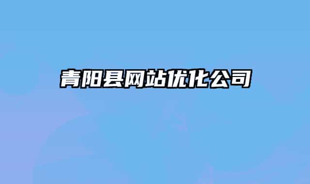 青阳县网站优化公司