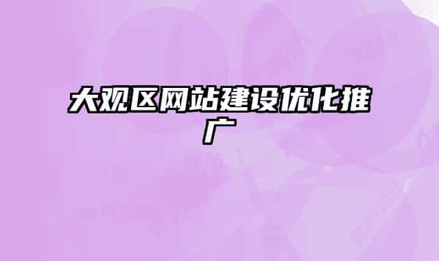 大观区网站建设优化推广
