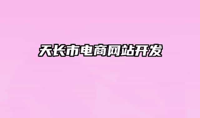 天长市电商网站开发