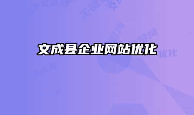 文成县企业网站优化