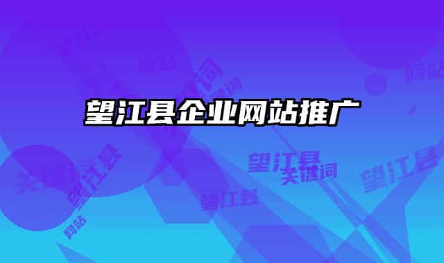 望江县企业网站推广