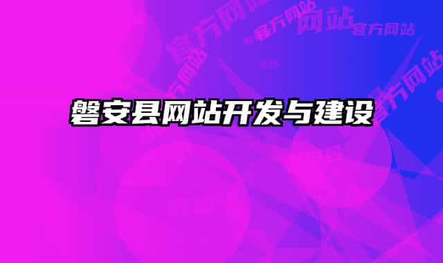磐安县网站开发与建设