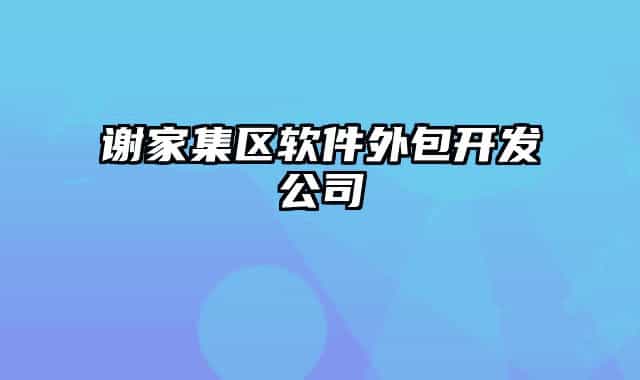 谢家集区软件外包开发公司