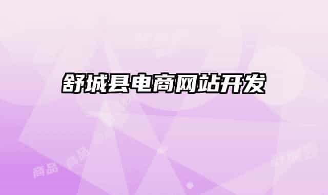 舒城县电商网站开发
