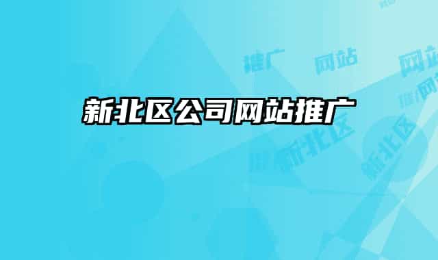 新北区公司网站推广