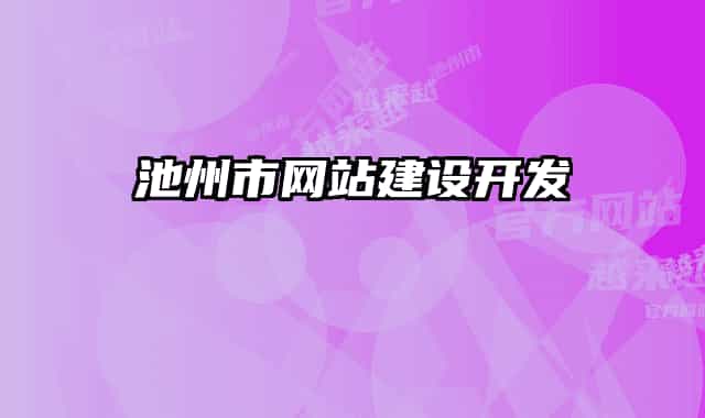 池州市网站建设开发