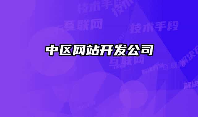 中区网站开发公司