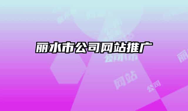 丽水市公司网站推广