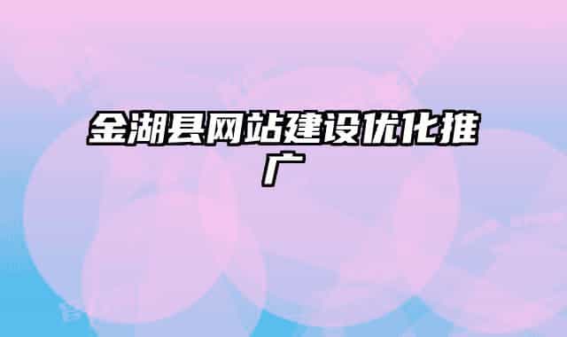 金湖县网站建设优化推广