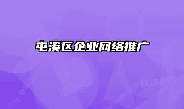 屯溪区企业网络推广