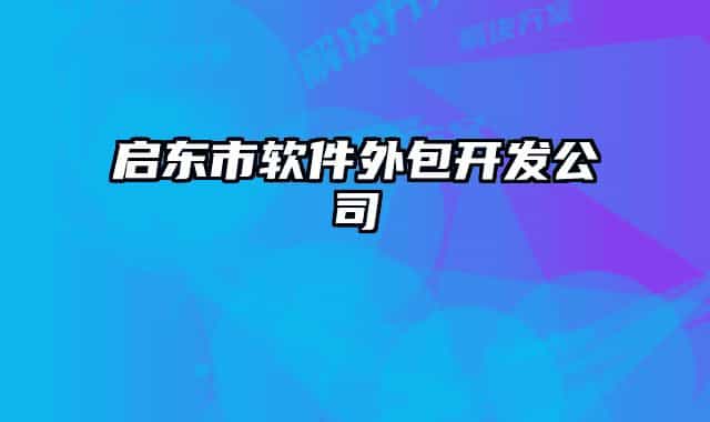 启东市软件外包开发公司