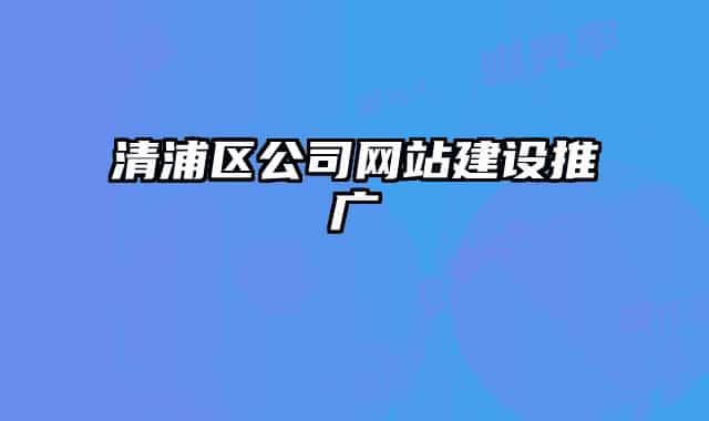 清浦区公司网站建设推广