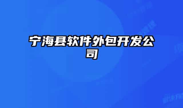 宁海县软件外包开发公司