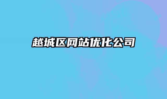越城区网站优化公司